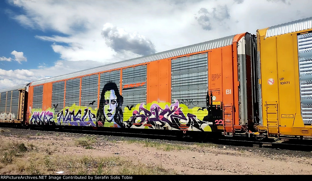 BNSF 27376 TTGX 693660 Con Grafiti 